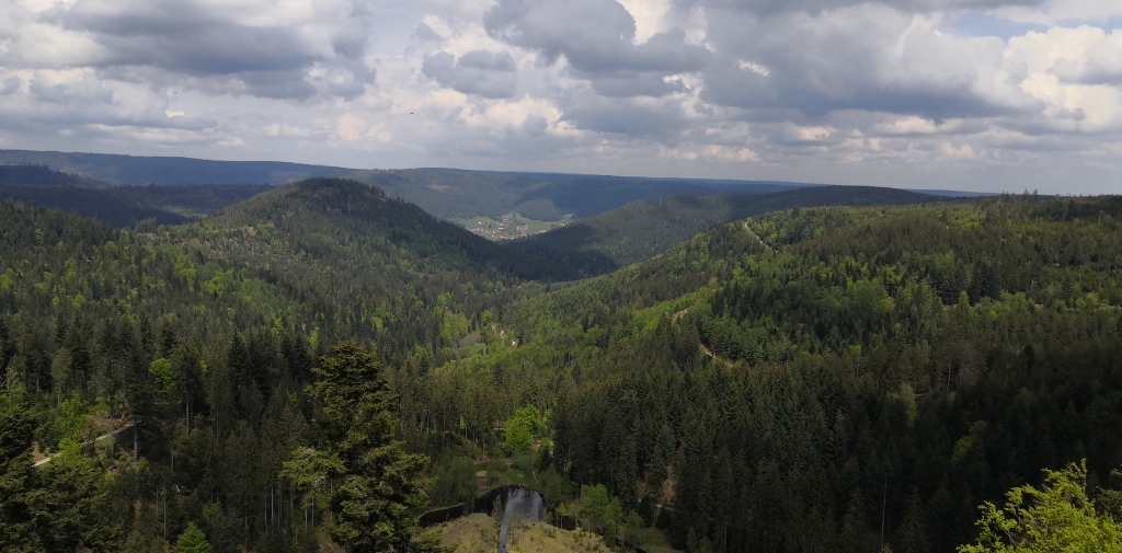 [... Bild: Blick in die Natur im Schwarzwald ...]